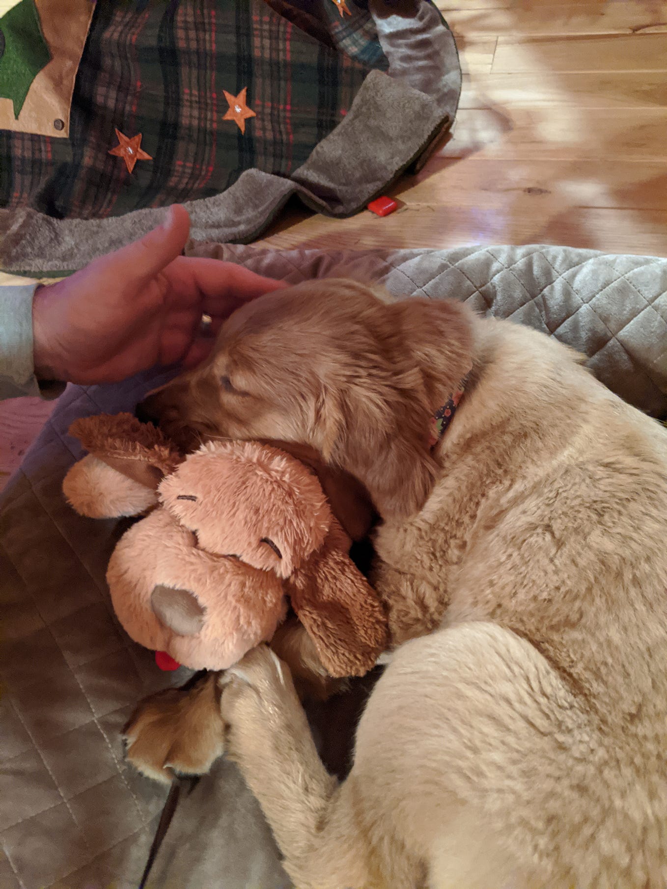 The world is full of winners who should all be neutered and spayed