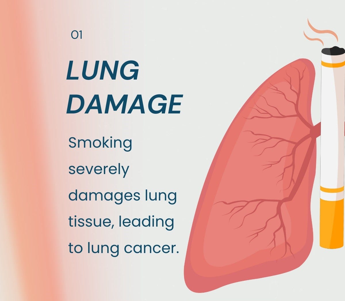 Effects Of Alcohol On Liver Neeraj Cancer Treatment Medium effects-of-alcohol-on-liver-neeraj-cancer-treatment-medium
