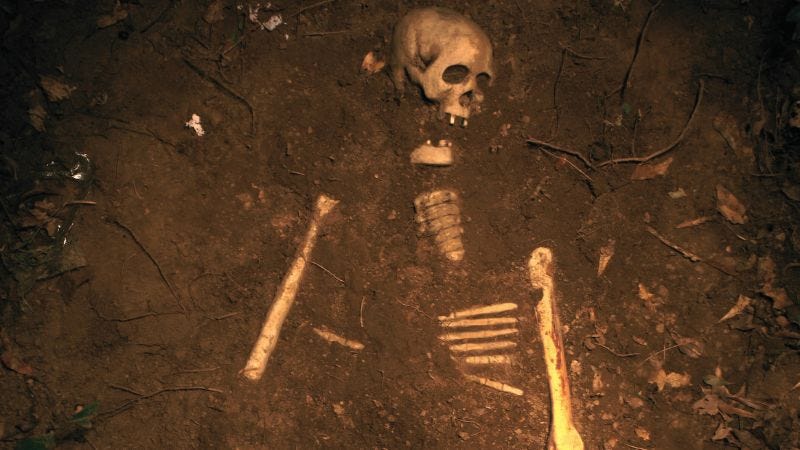 The Bizarre Disappearance of Lars Mittank | by Eve S Evans | Deadly ...