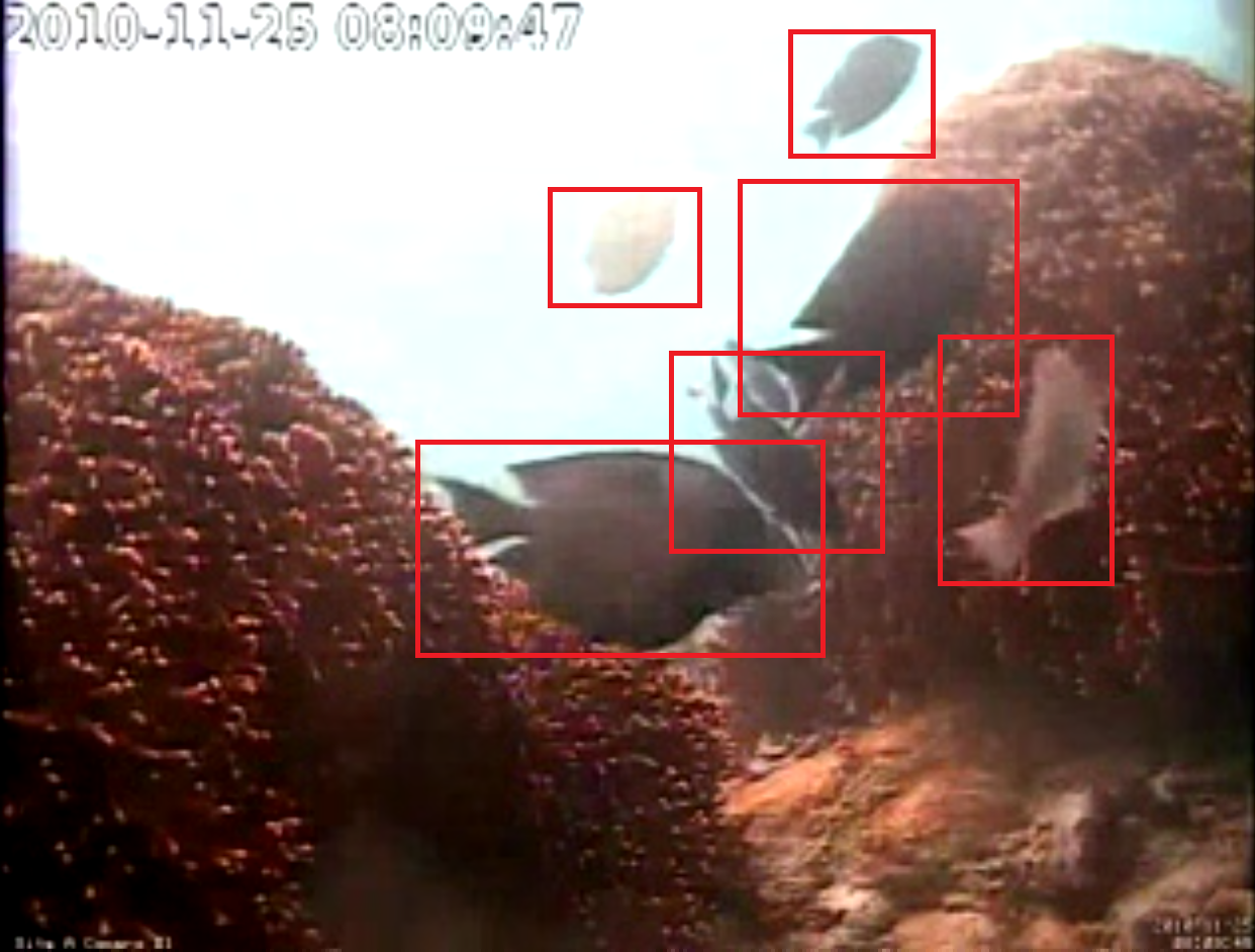 3D RANSAC Algorithm for Lidar PCD Segmentation | by AJith RaJ | Medium