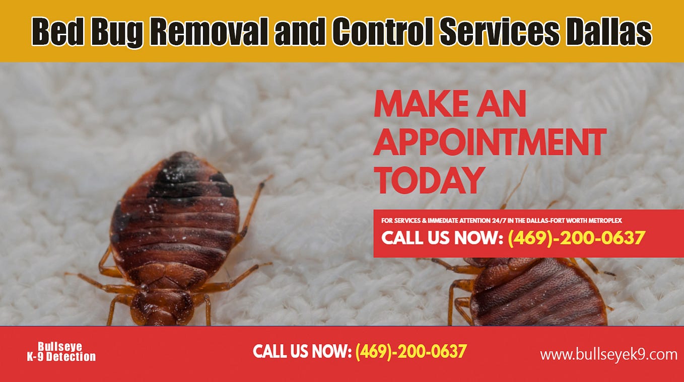bed bug heat treatment cost. Affordable bed bug heat treatment cost