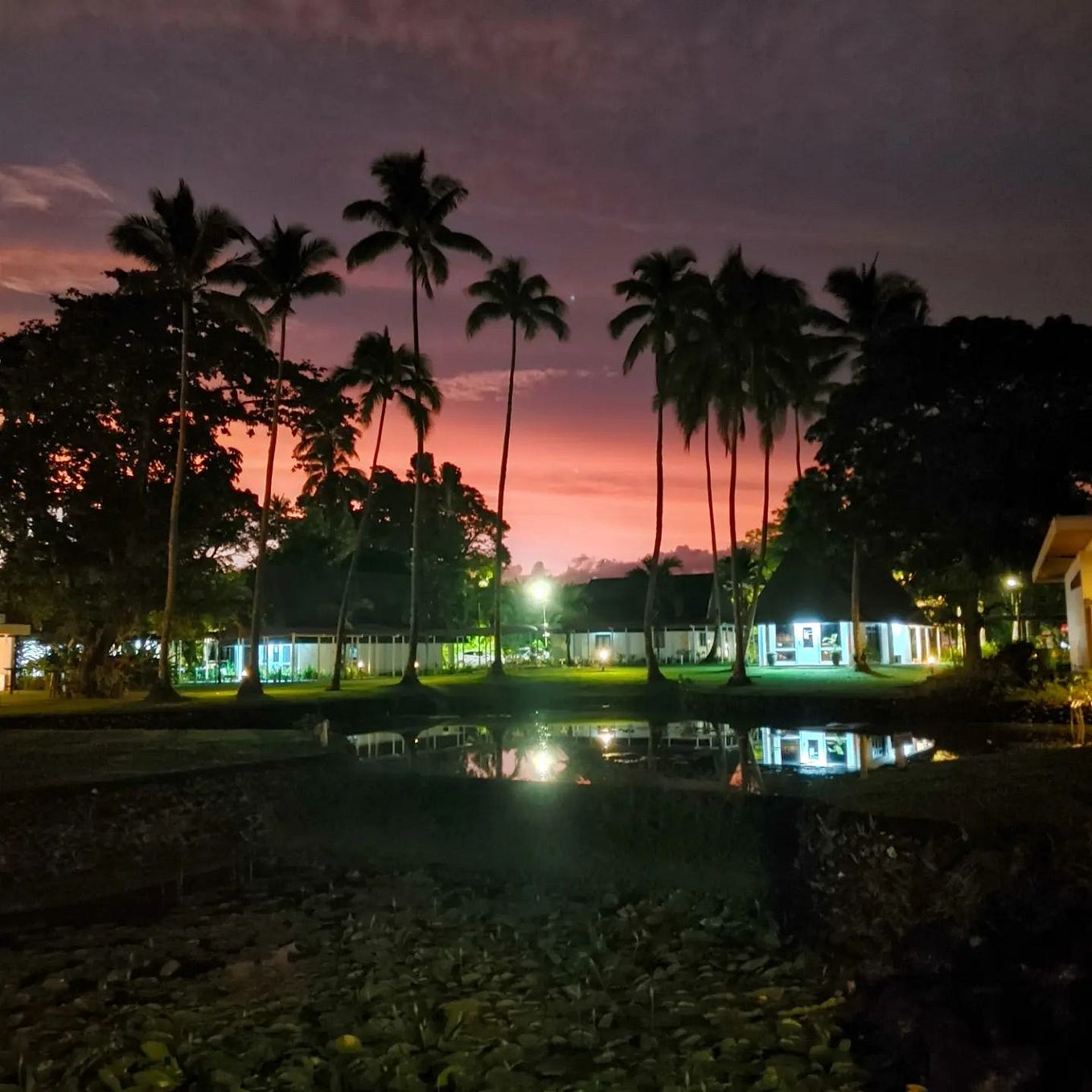 Why I Regret Coming to the U.S.. At one point in my life, coming back