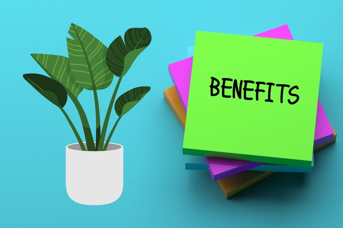 Mastering Car Loan Interest Easy Steps to Calculate Your Finance