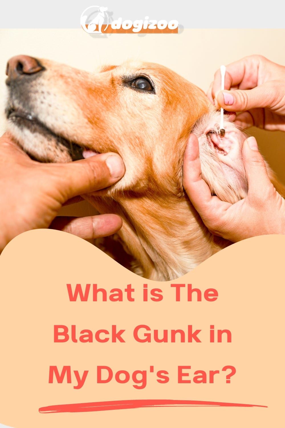 Do Woofers Remember Their Fave Humans By Dogizoo Medium do-woofers-remember-their-fave-humans-by-dogizoo-medium