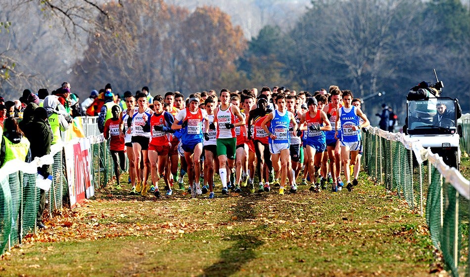 [LIVESTREAM] World Athletics Cross Country Championships Belgrade 2024