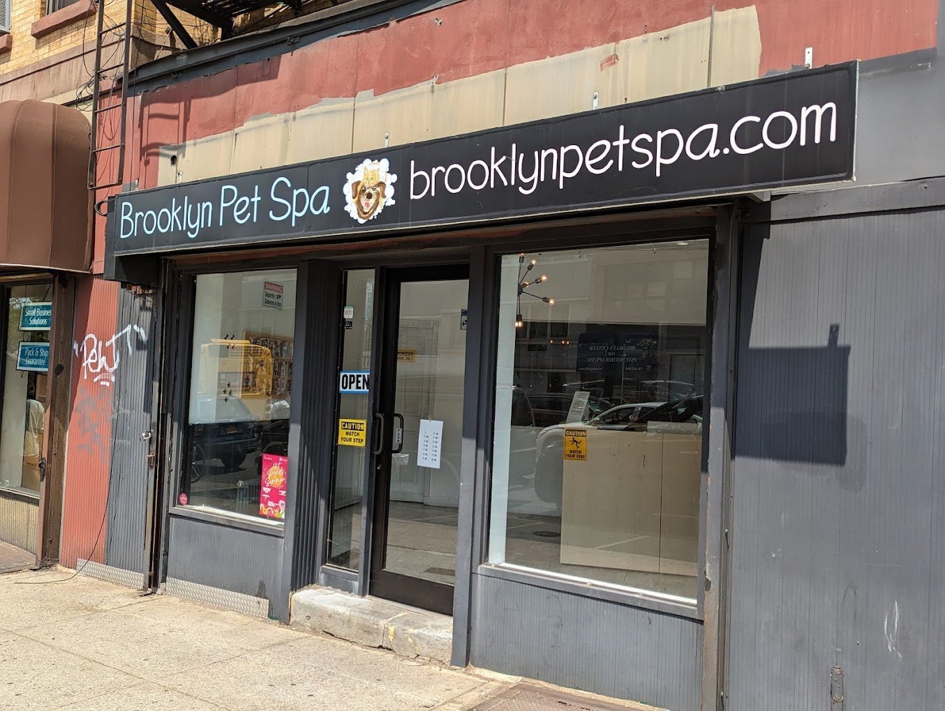 The Ultimate Guide to Cat Grooming in Brooklyn Brooklyn Pet Spa’s Expert Advice by Brooklyn