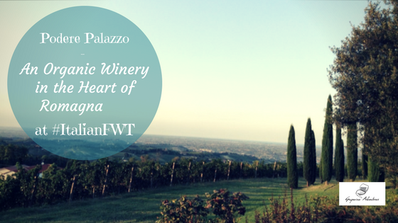 Podere Palazzo — An Organic Winery in the Heart of Romagna at #ItalianFWT