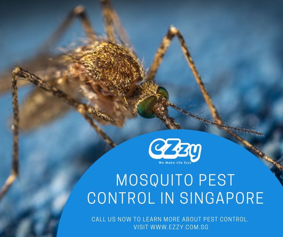 Mosquito Prevention Singapore — Ezzy Pest Control Ezzy Pest Control Medium