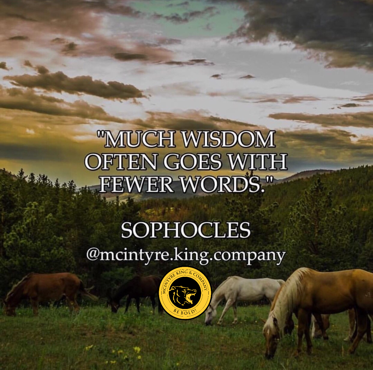 Albert Einstein Quotes On Mistakes by McIntyre King & Company Medium