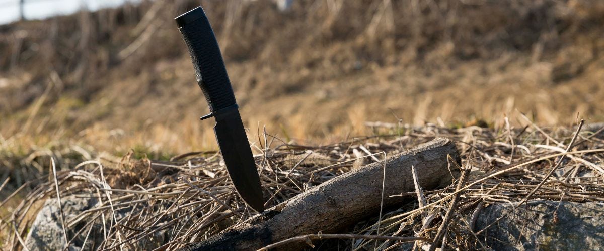 Knife in a downed limb in a field.