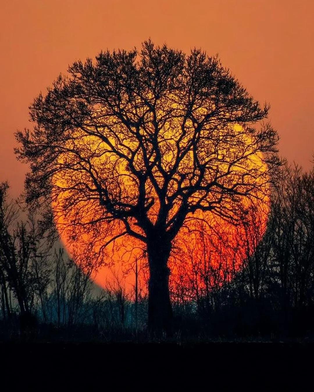 Google colab vs. Jupyter Notebook | by Jalaj Gupta | Learning Data | Medium