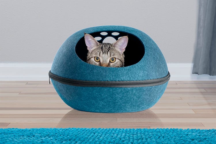 How to Choose the Right Dentist. Tooth care is an important part of our