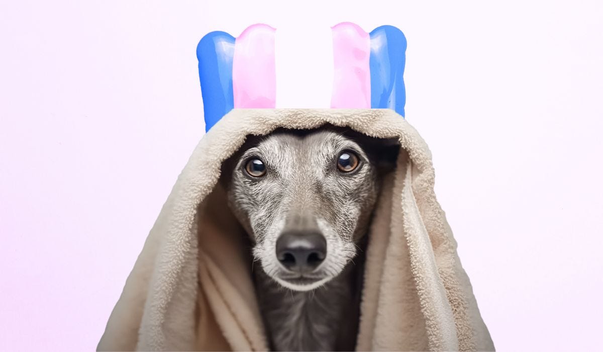Michigan Salon Calls Trans Folks Pets, Refuses Service, Cites SCOTUS