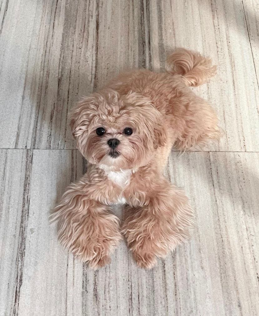 Buy Google Maps Reviews Are - 1*9QMiGhCHREYO8GX15AKLAA 