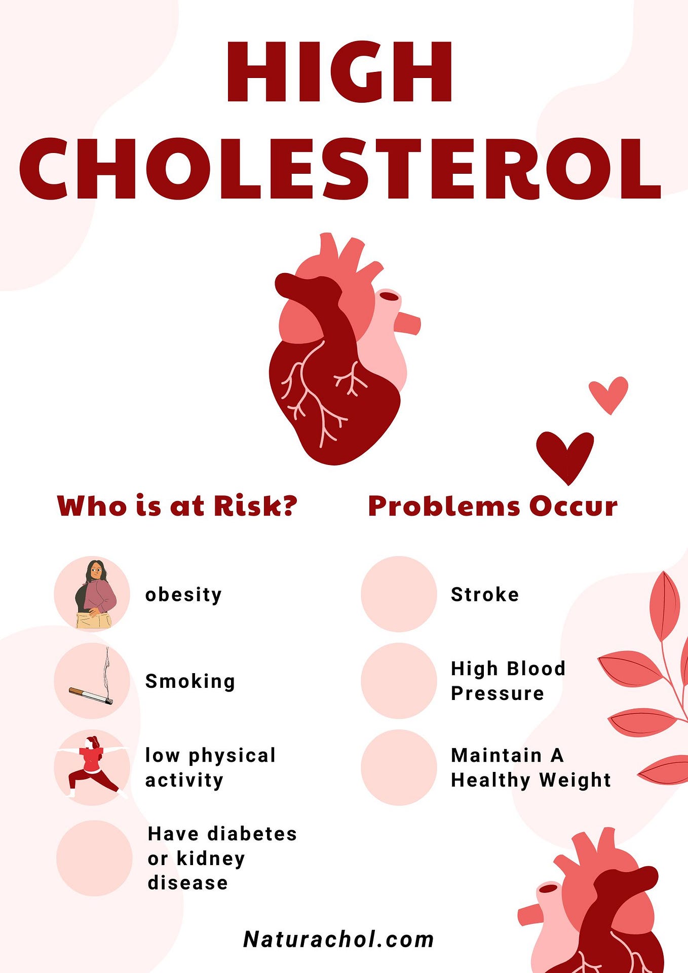 Is Sourdough Bread Good Or Bad for Cholesterol? Natura Chol Medium
