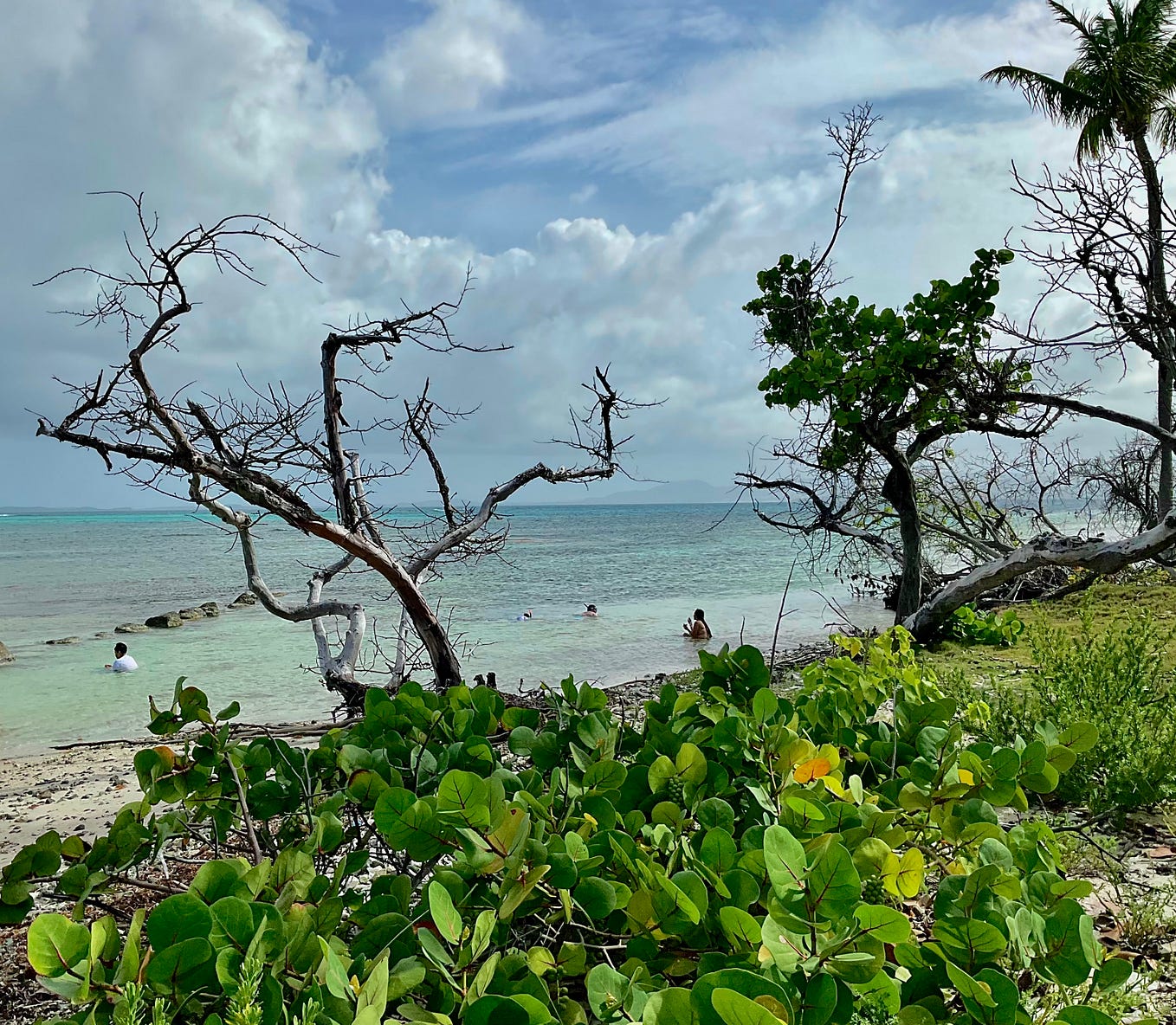 How sweet Rosina. Bless your heart for your kind words. Thank you. Love