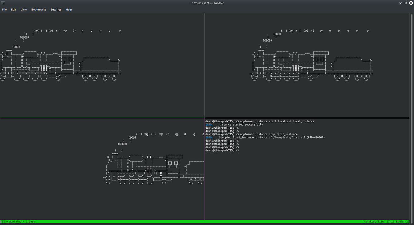 Use Apptainer to execute SingularityCE containers | Medium