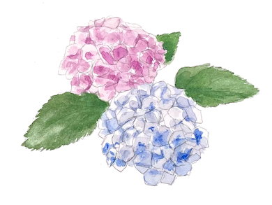 How to embrace Japan’s philosophy of peaceful happiness