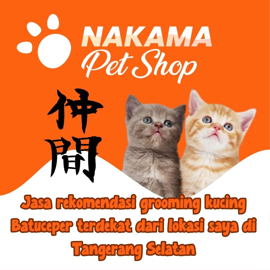 0819–1988–9899 (HALUS GLOWING), Jasa grooming cat panggilan di