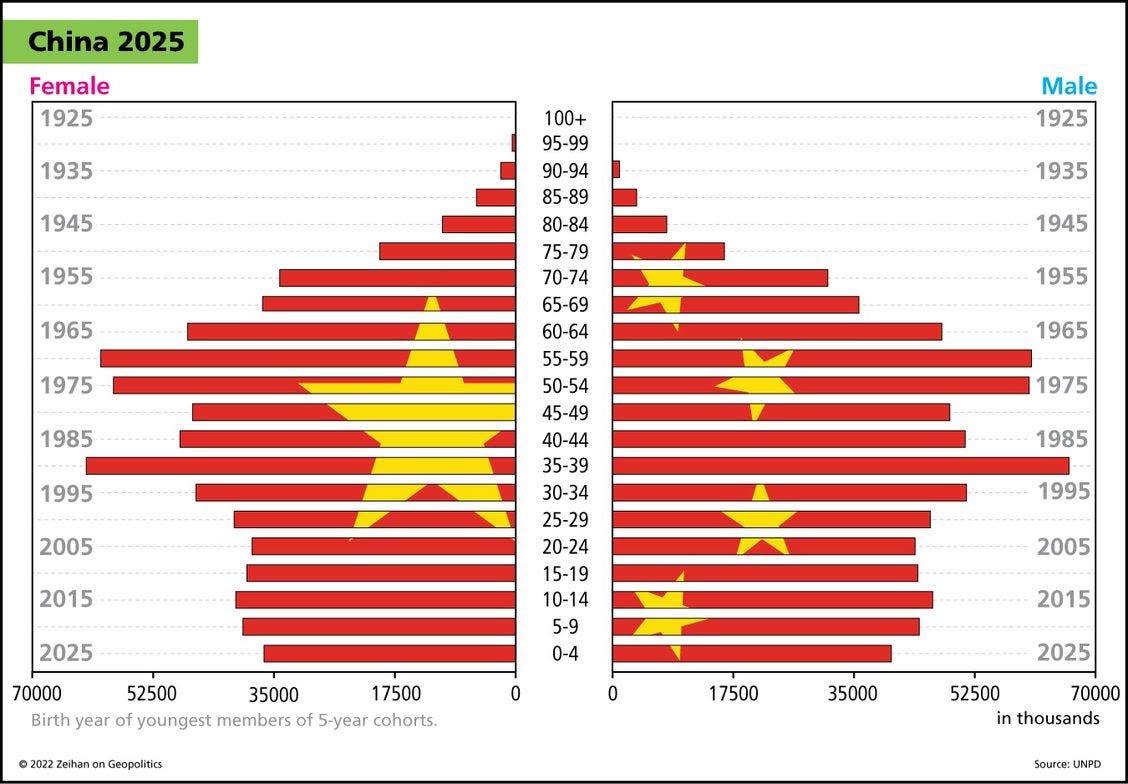 Chinese Demographic Data: Population Collapse