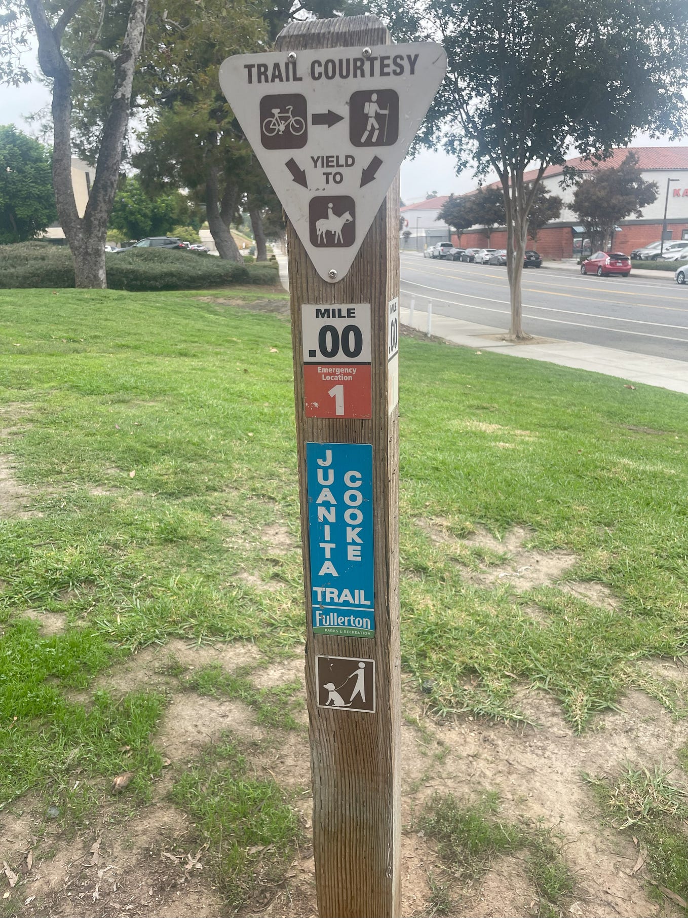 Breaking into QA A Beginner’s Guide to Starting Your Software Testing