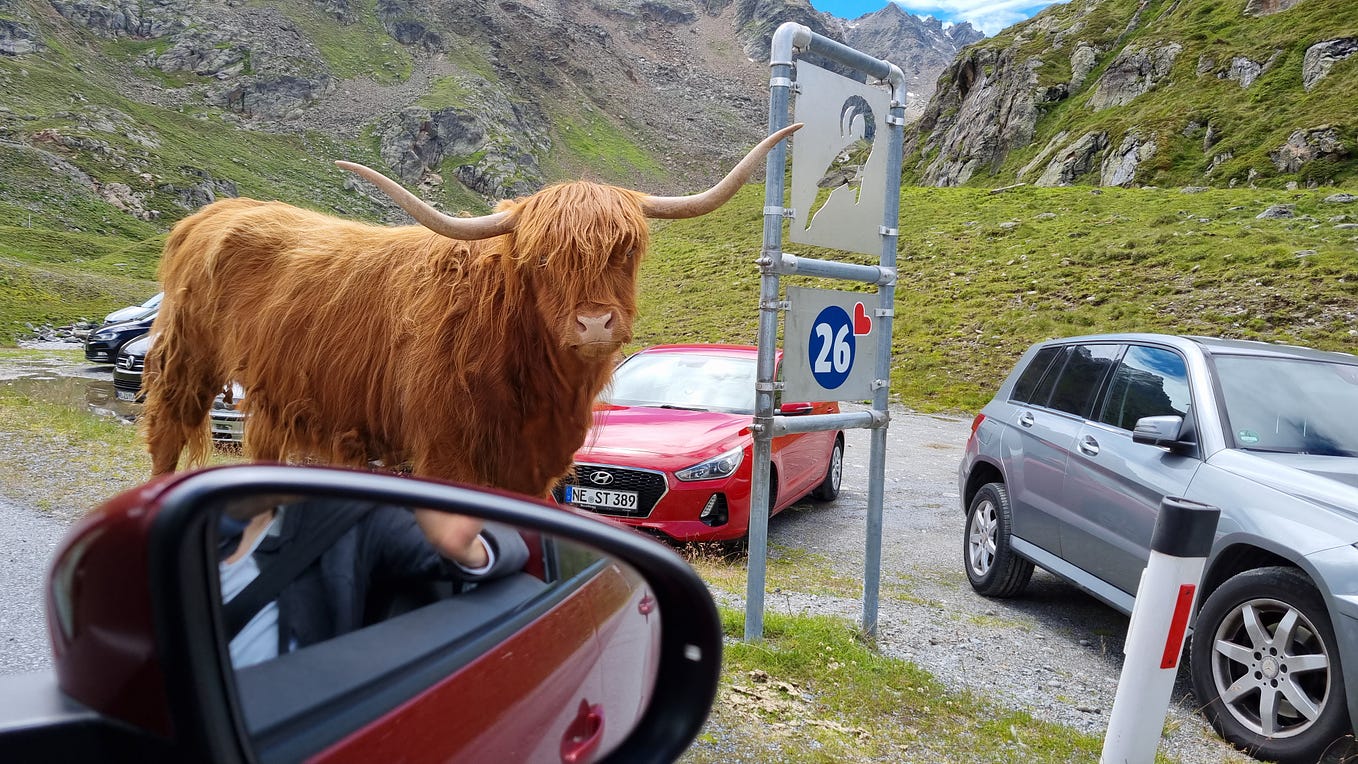 Gadgets for the Alps