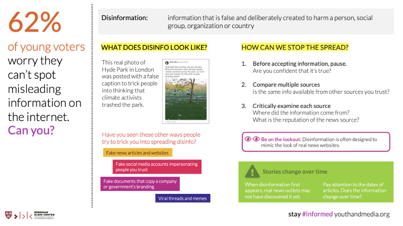 Youth and Disinformation Literacy: helping young people spot online disinformation