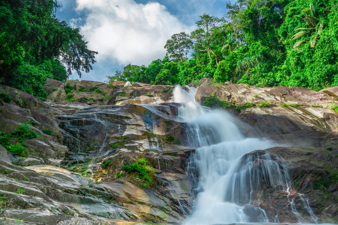 The Journey To Munnar Also Led Me To The Captivating Cheeyapara the-journey-to-munnar-also-led-me-to-the-captivating-cheeyapara