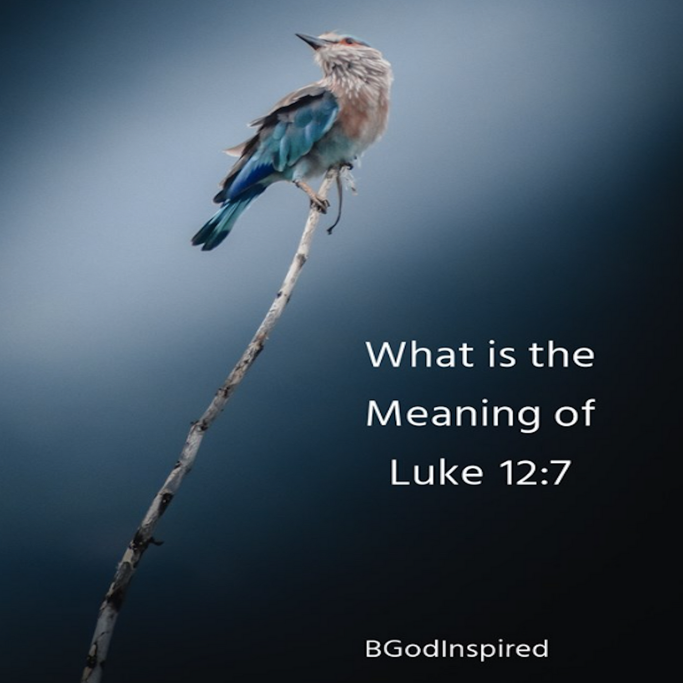 What is the Meaning of Luke 12:7 and How it can Help You