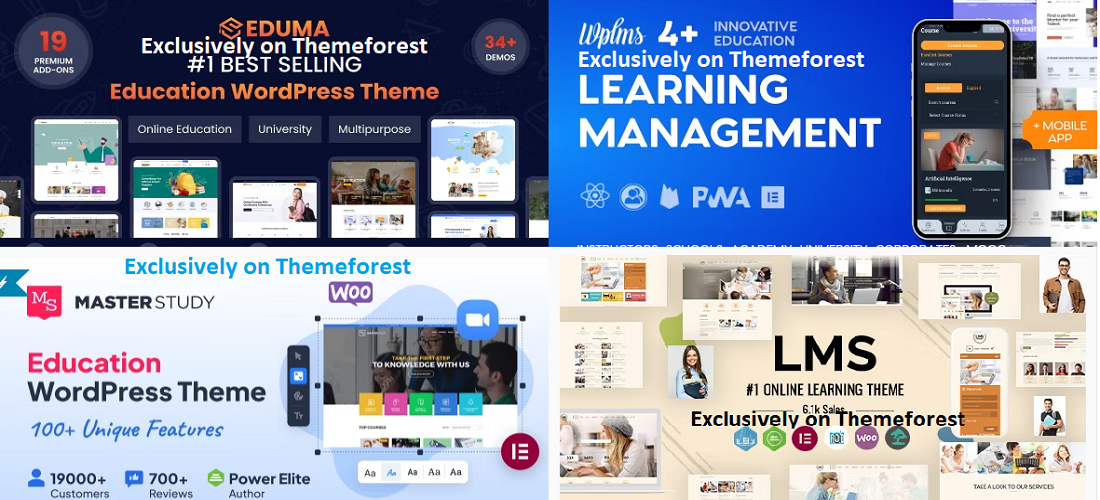 4 Most Popular Fitness WordPress Themes 2024 by Mst. Shammi Ara Sep