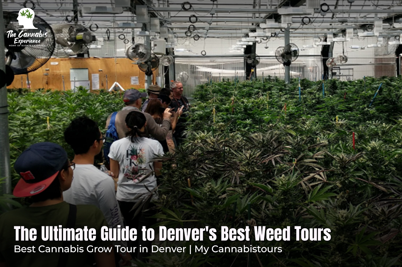 Denver Bachelor Party Ideas Things to Do in Denver by My Cannabis
