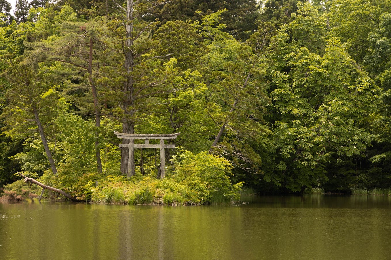 The closest shrine to Tokyo Skytree that no one knows about. Mayu