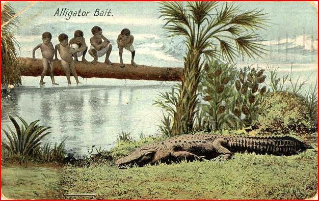 The Shocking History Of Black Babies Being Used As Alligator Bait