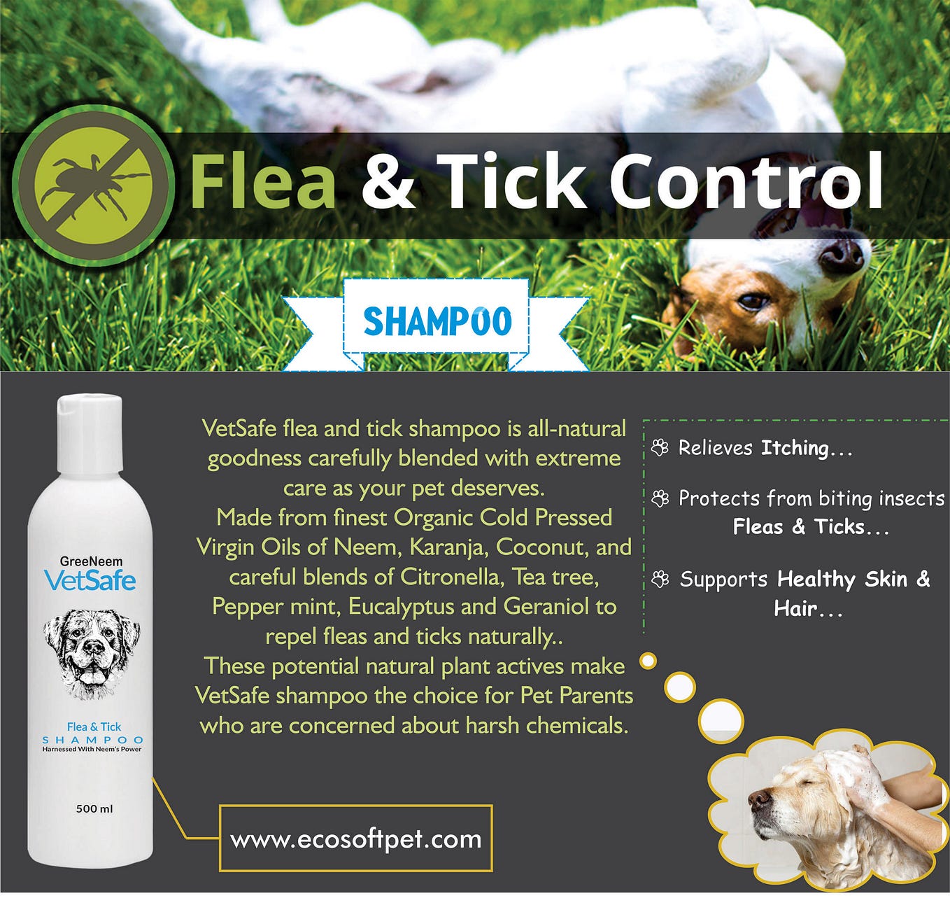 Use Direction of VetSafe Dog Shampoo Flea and tick Shampoo by