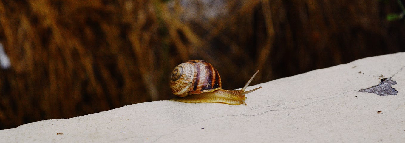 Scala’s immutable collections can be slow as a snail