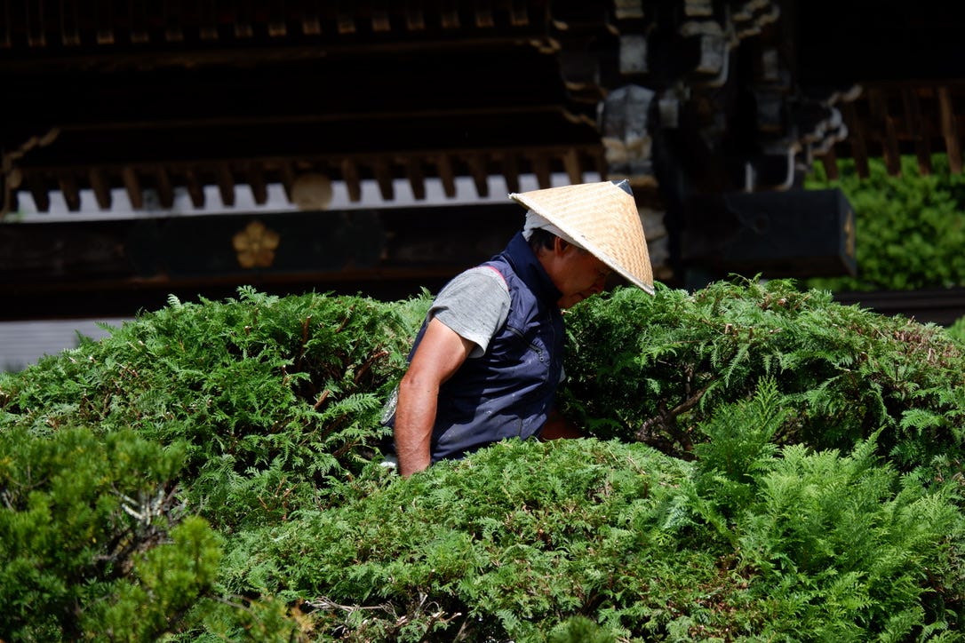 Beautiful Paul! The world will come to you, pfff that felt a bit