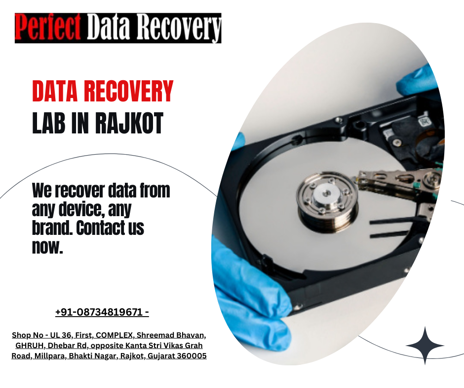 Data Recovery Expert — Perfect Data Recovery Lab Perfect Data