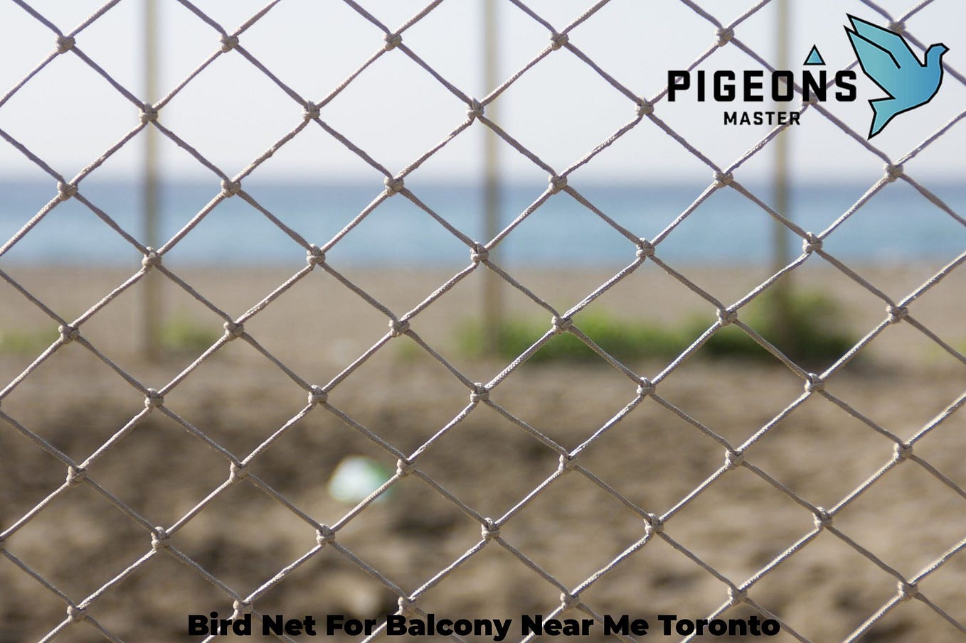 Safeguard Your Space with Pigeon’s Master Effective Bird Removal in