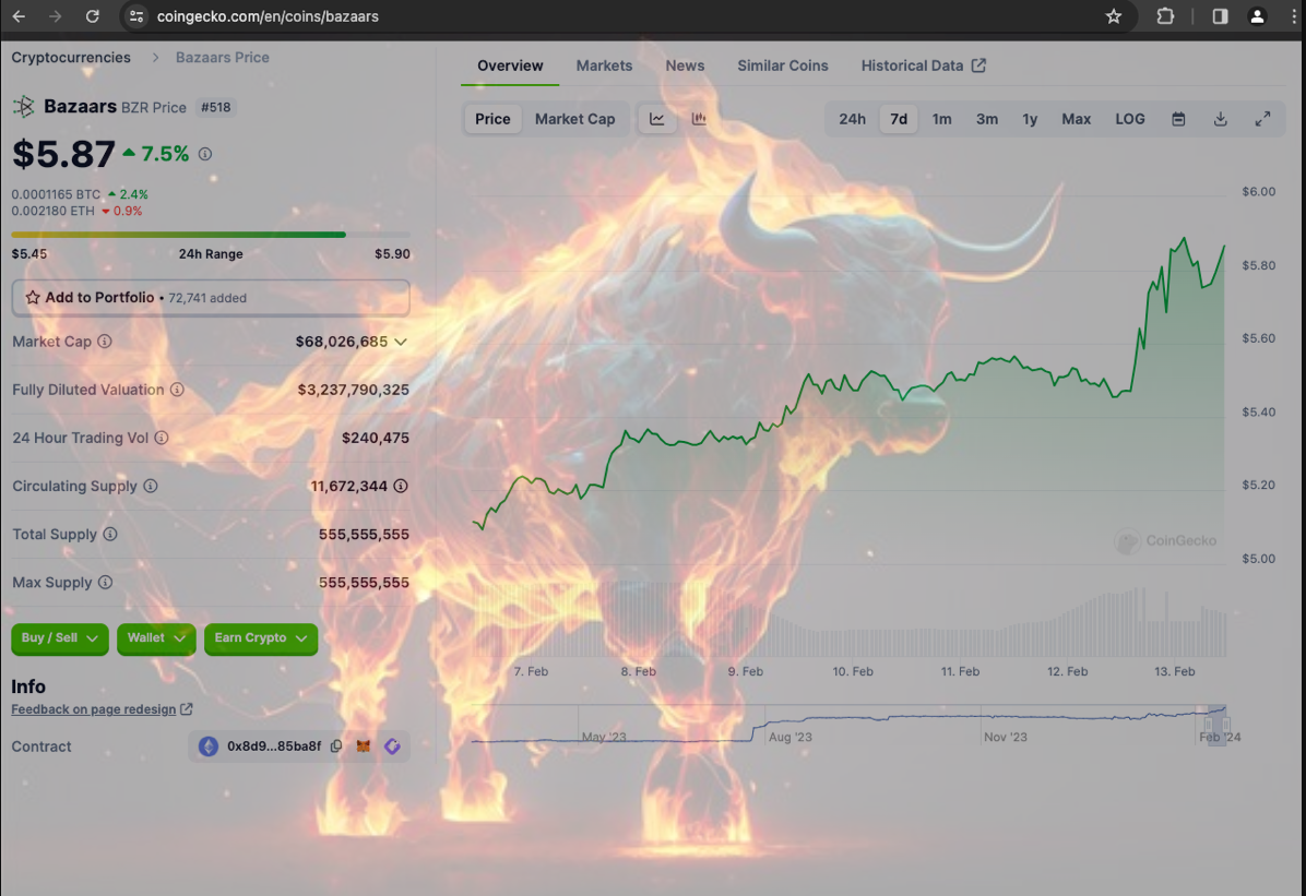 Bazaars BZR Primed for Soaring Heights A Promising Investment