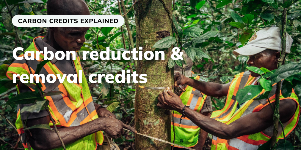 Carbon Markets Explained: Carbon reduction and removal credits