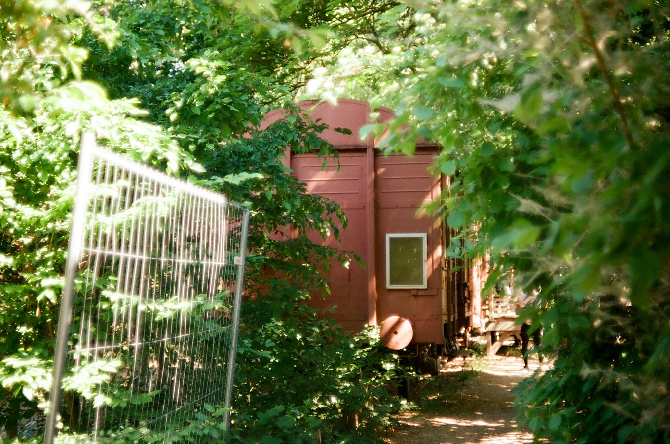 How To Add Captions To A Video In Canva How To Add Captions To A Video In Canva