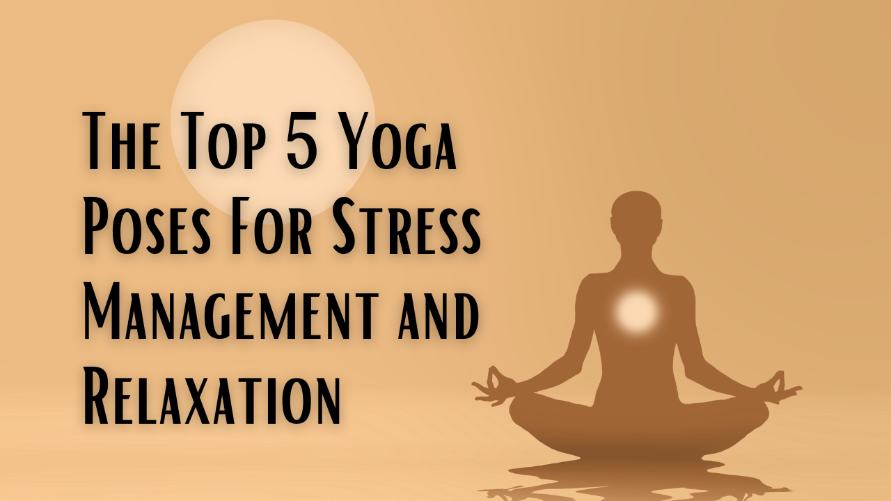 Soothe Your Soul: Yoga Poses for Stress Relief And Relaxation  