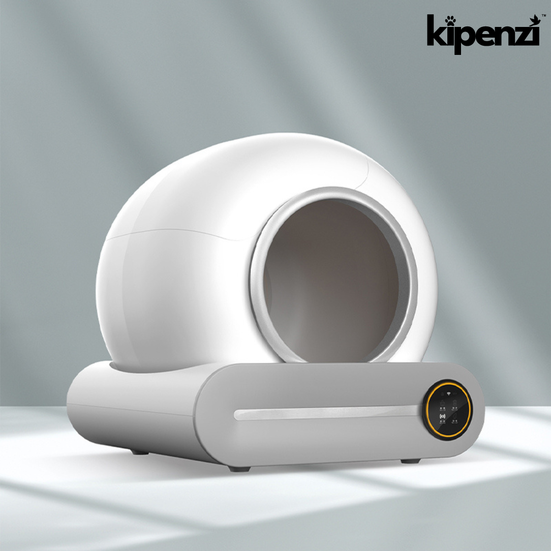 How to Introduce a Smart Cat Litter Box to Your Cats A StepbyStep