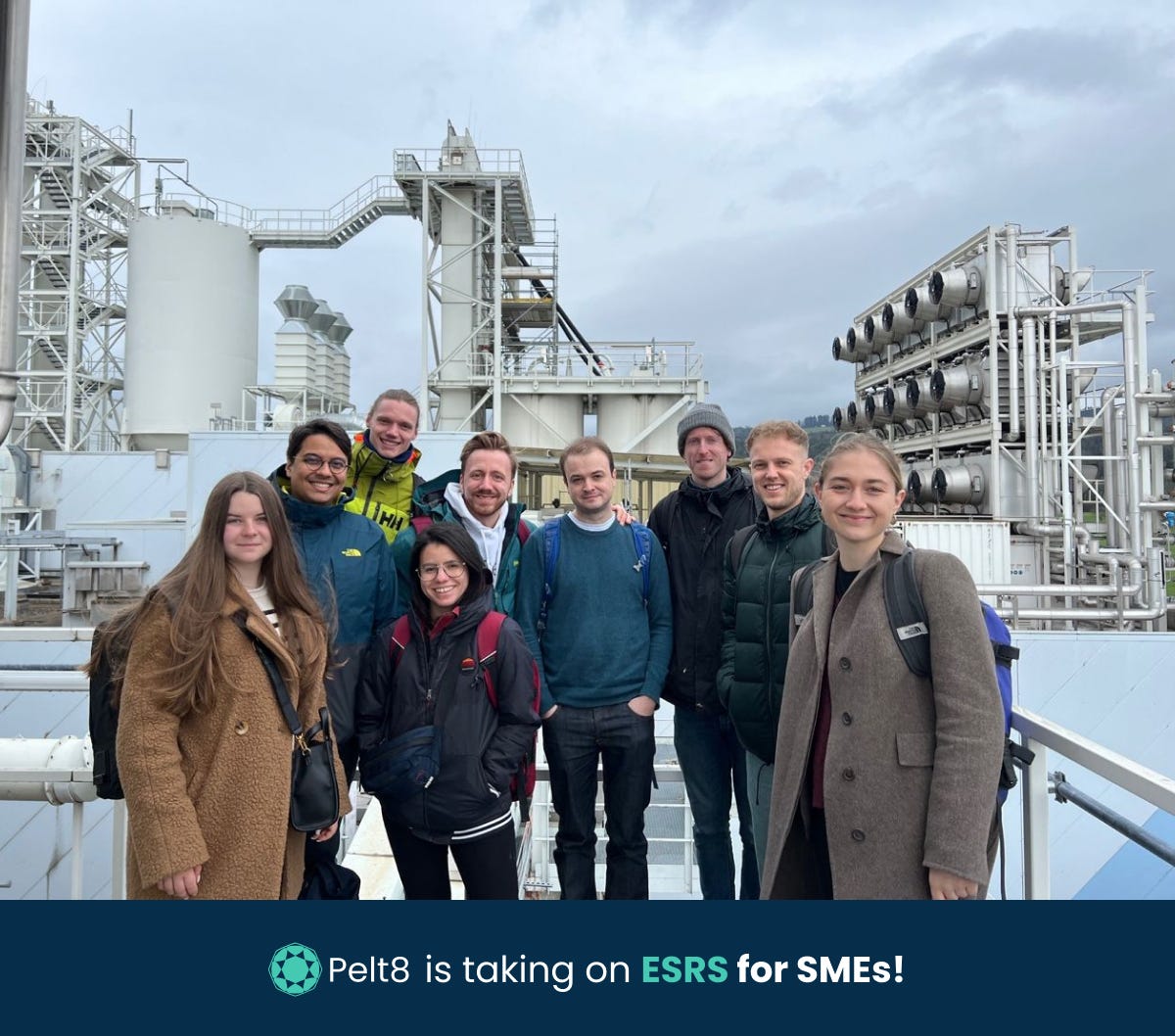 Laying the groundwork — how Pelt8 went about the preparation phase for ...