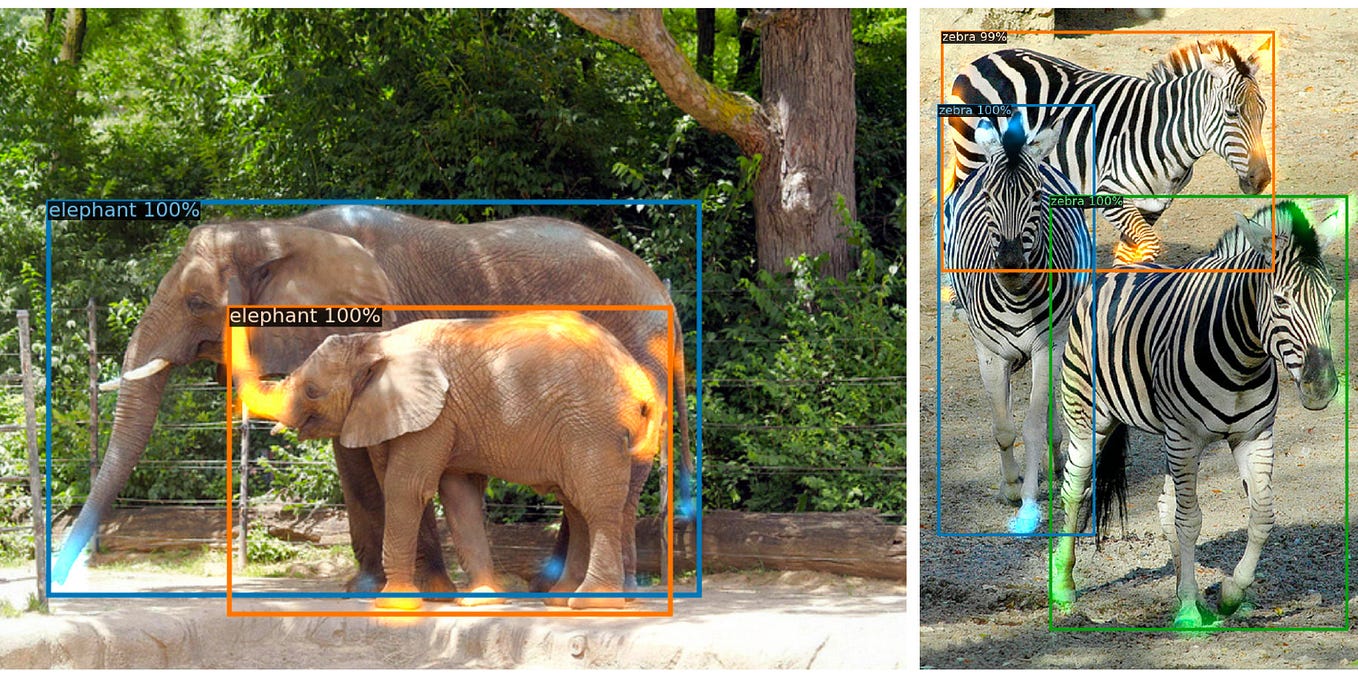 EfficientDet: Scalable and Efficient Object Detection | by Rajan Sharma ...