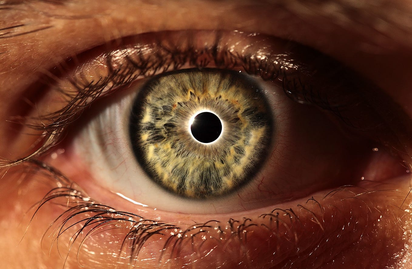 Глаз да глаз за ними. Глаз да глаз за ними. Хореида глаз. Глаз да глаз за ними. Макросъемка глаза человека.