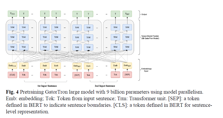 Paper review: BioLinkBERT. Introduction | by Eleventh Hour Enthusiast ...