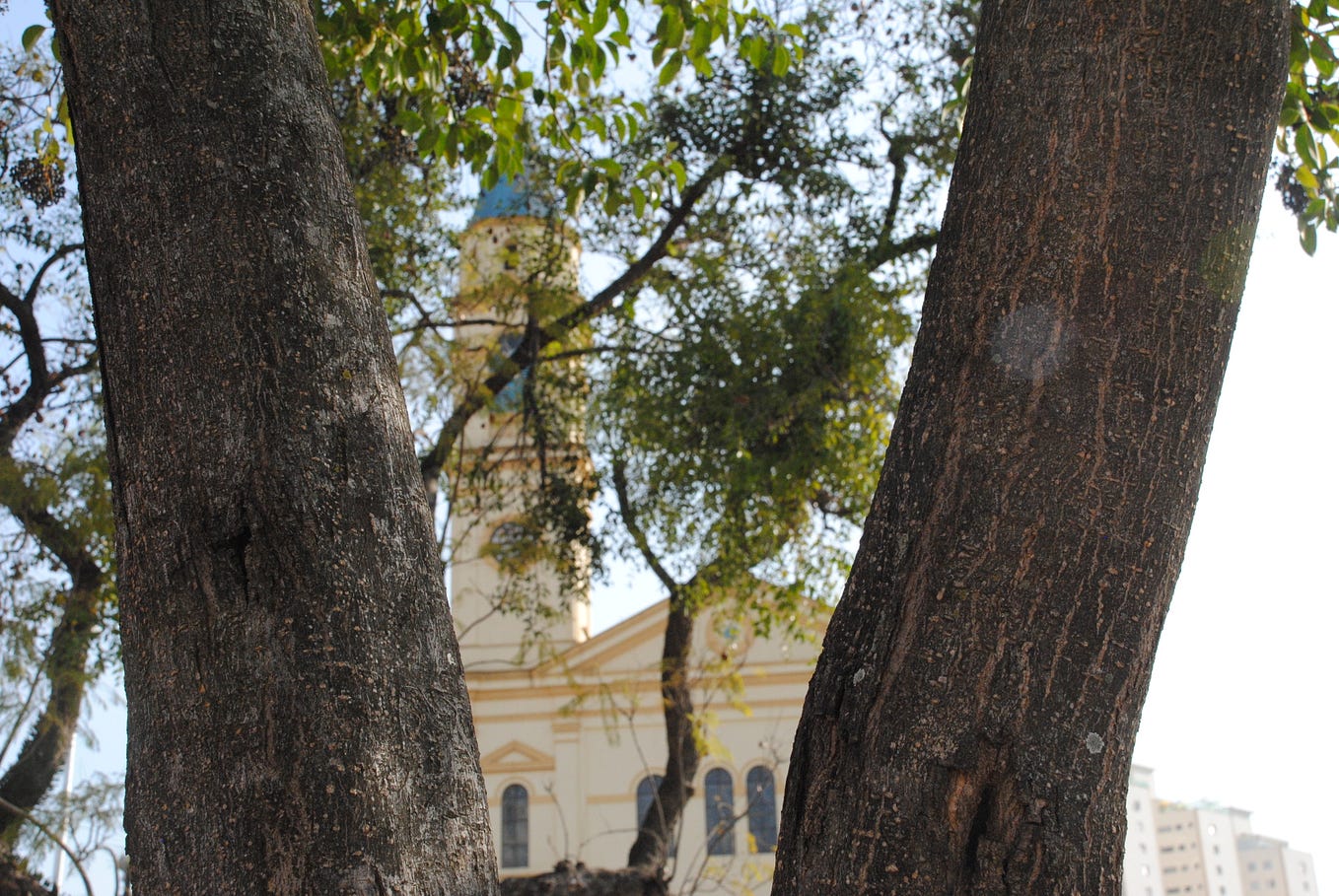 Ayrton Senna do Brasil, Ayrton Senna da Zona Norte | by Bruno Viterbo