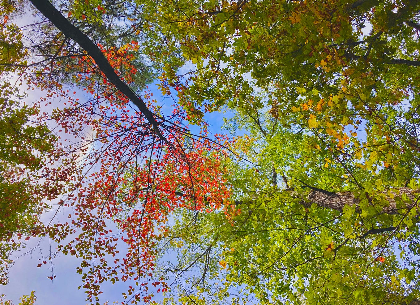 Ah, I stand corrected!! Nice! A Chance Meading Medium