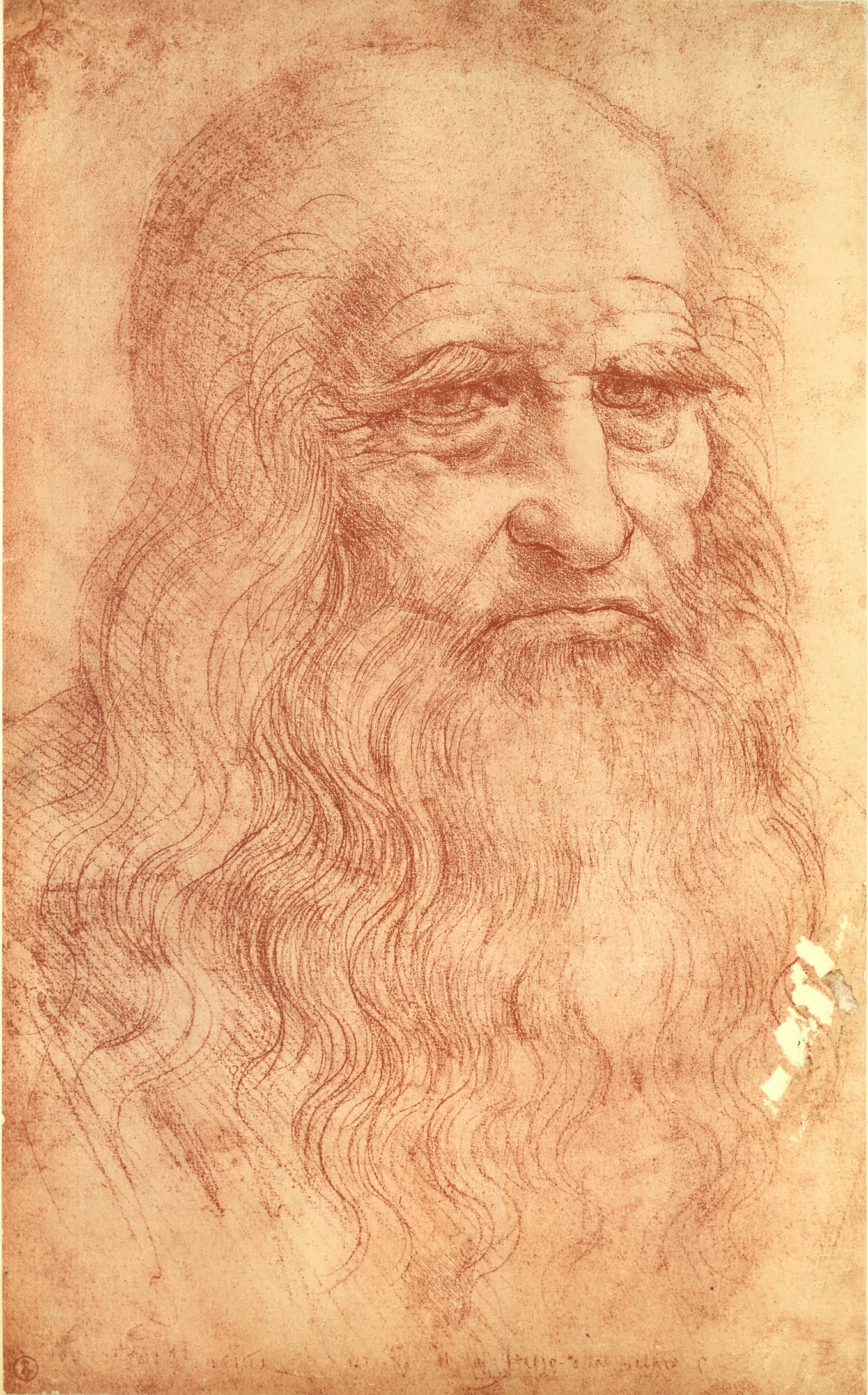 The Inspiration Behind Leonardo da Vinci’s Vitruvian Man